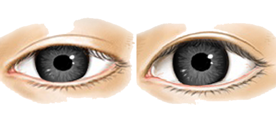 Real Eye Transparent PNG Image