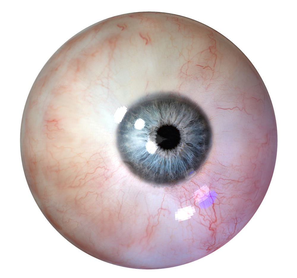 Human Eye Transparent PNG Image