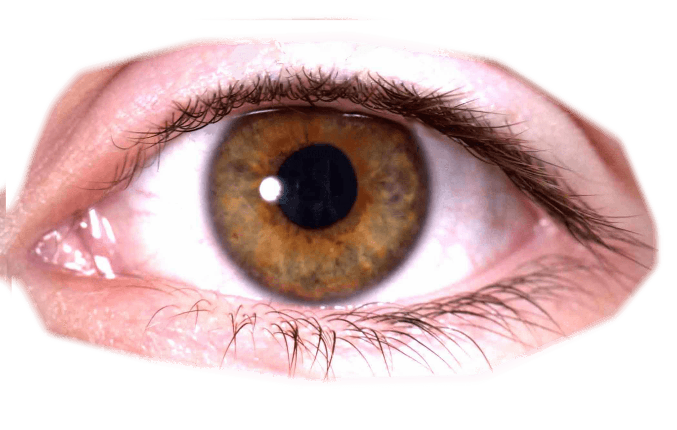 Eye Transparent PNG Image