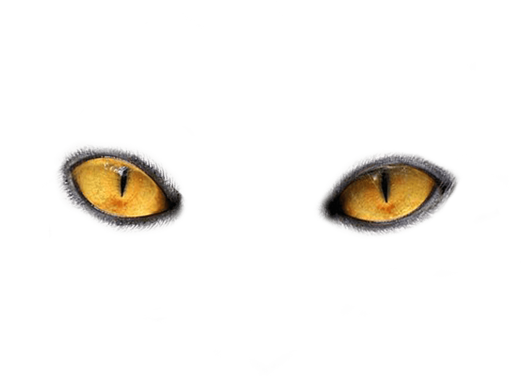 Eyes Transparent PNG Image