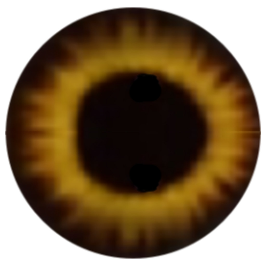 Eyes Transparent PNG Image