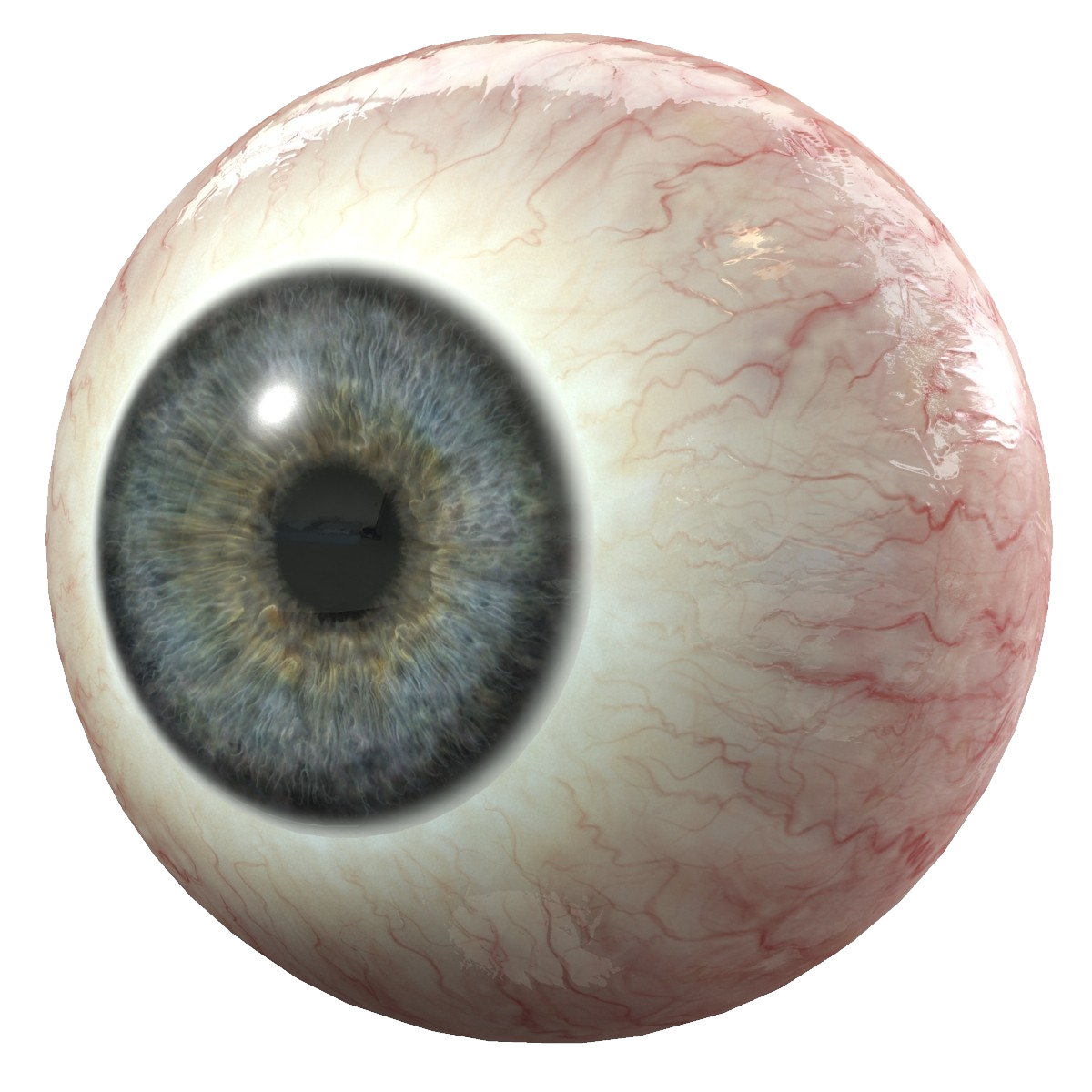 Eyes Transparent PNG Image