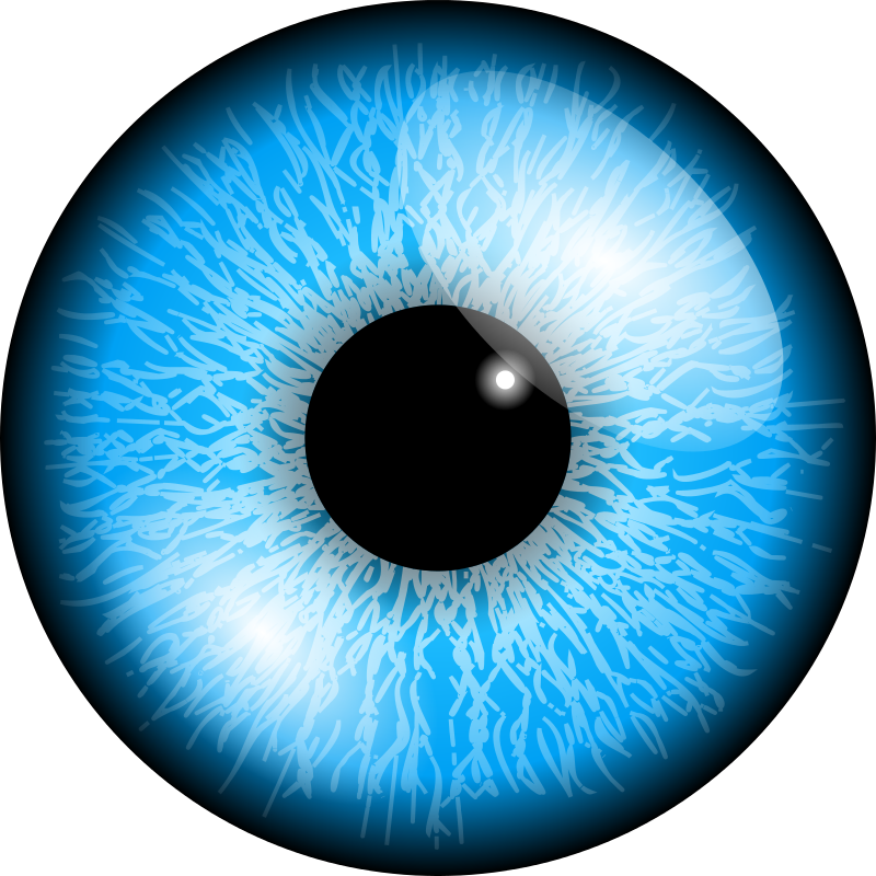 Eyes Transparent PNG Image