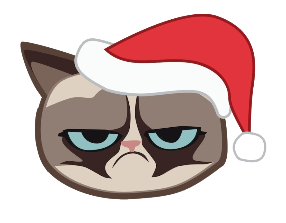 Grumpy Face Cat Transparent PNG Image