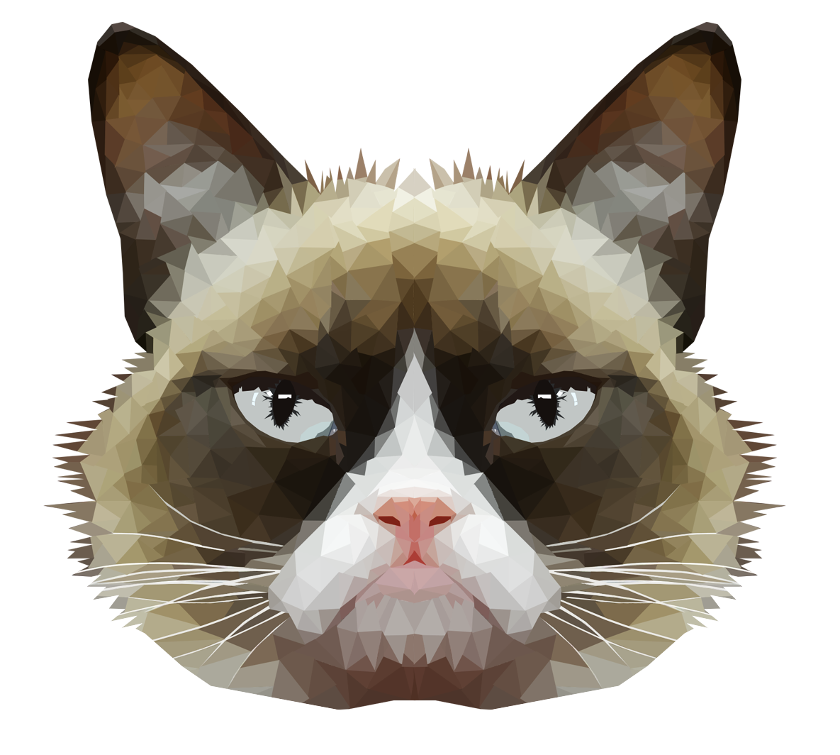 Grumpy Face Cat Transparent PNG Image