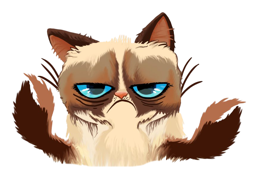 Grumpy Face Cat Transparent PNG Image