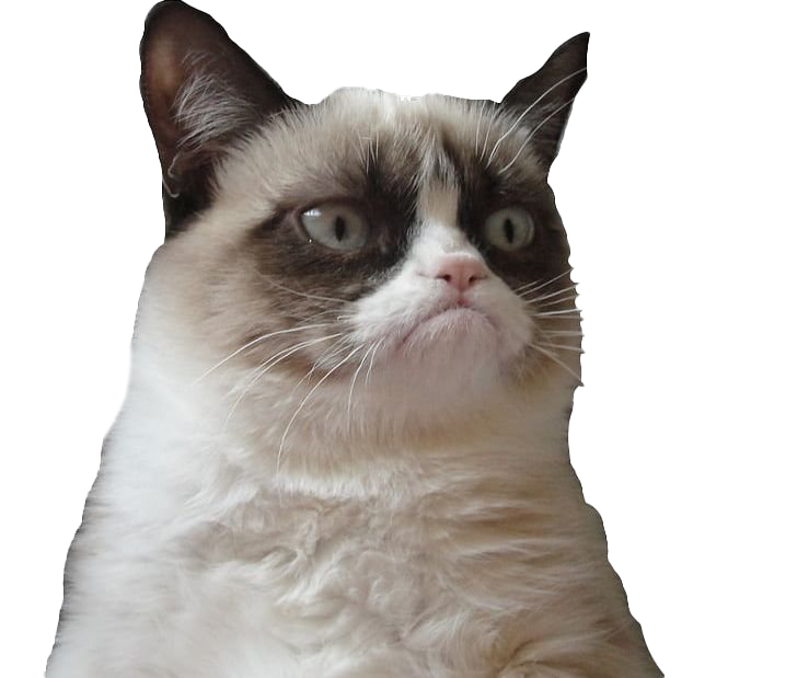 Grumpy Face Cat Transparent PNG Image