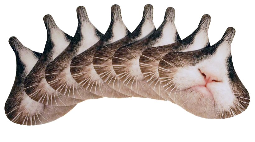 Grumpy Face Cat Transparent PNG Image