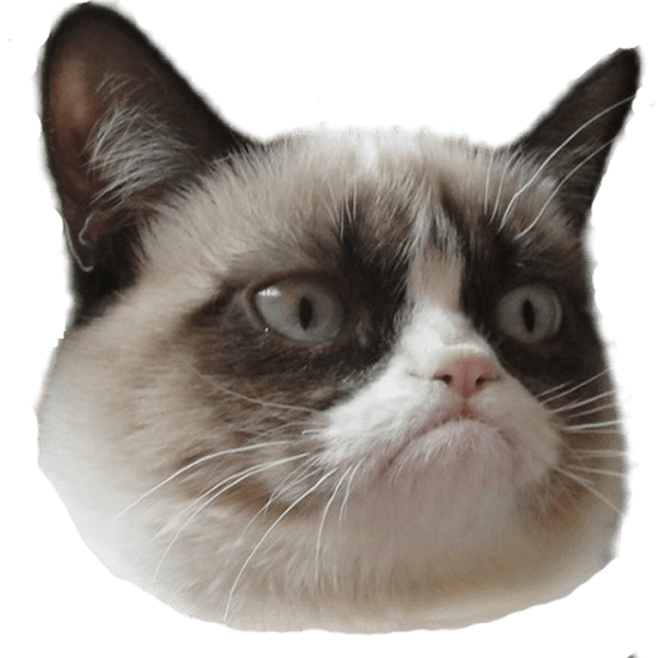 Grumpy Face Cat Transparent PNG Image