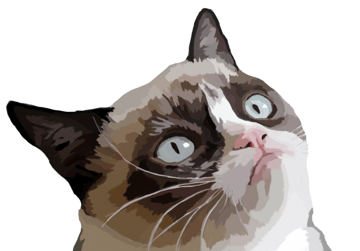Grumpy Face Cat Transparent PNG Image