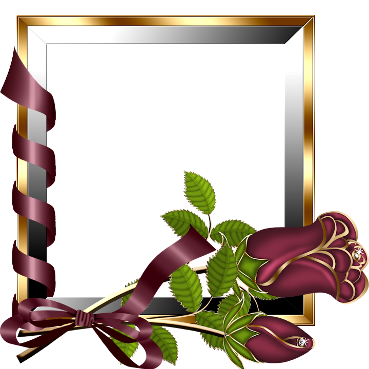 Frame Online Frames Venusia Editing Transparent PNG Image