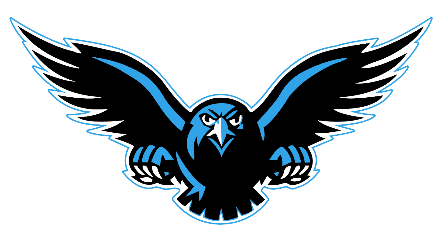 Falcon Background Transparent PNG Image