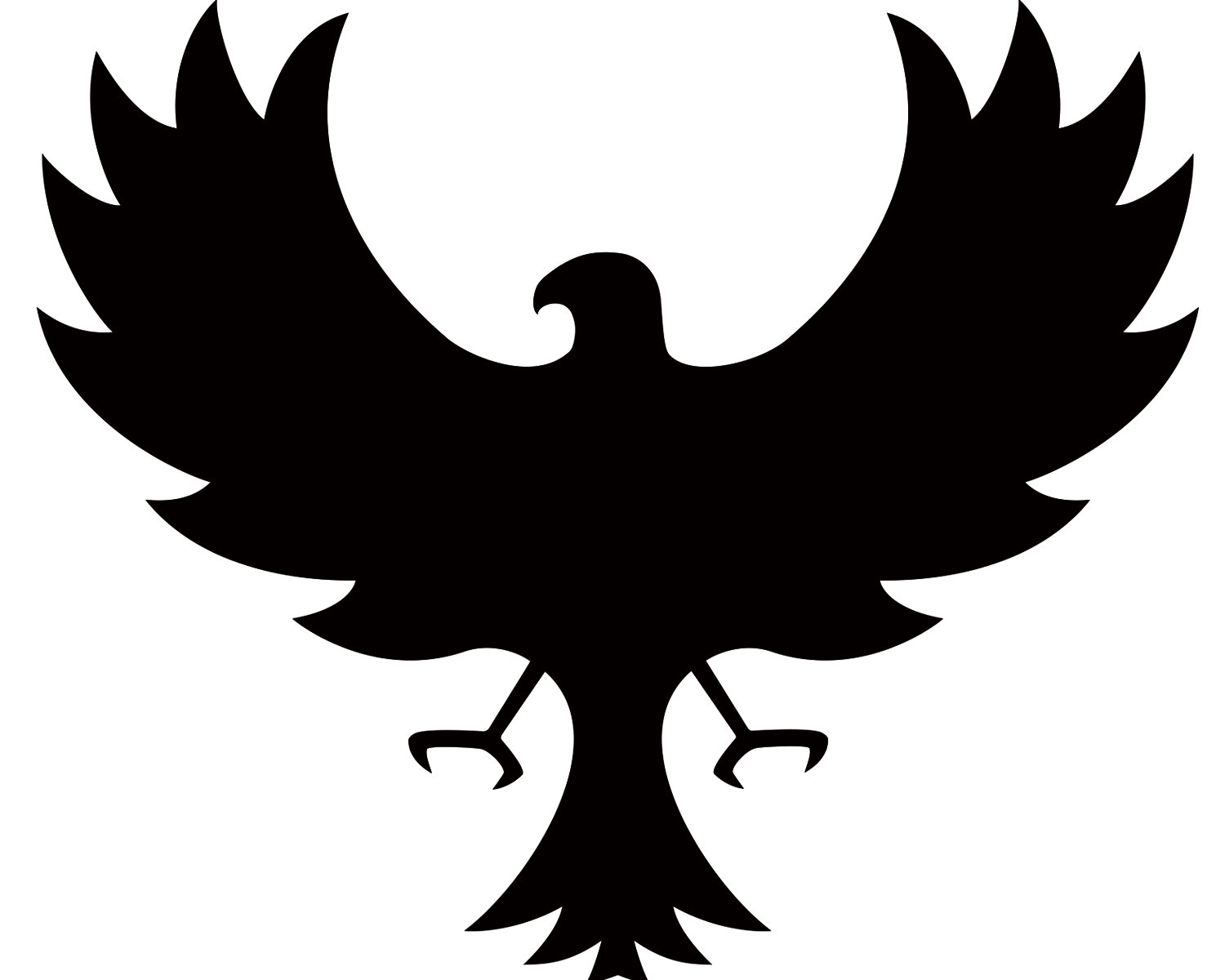 Network Graphics Bird Falcon Portable Transparent PNG Image