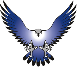 Falcon Transparent PNG Image