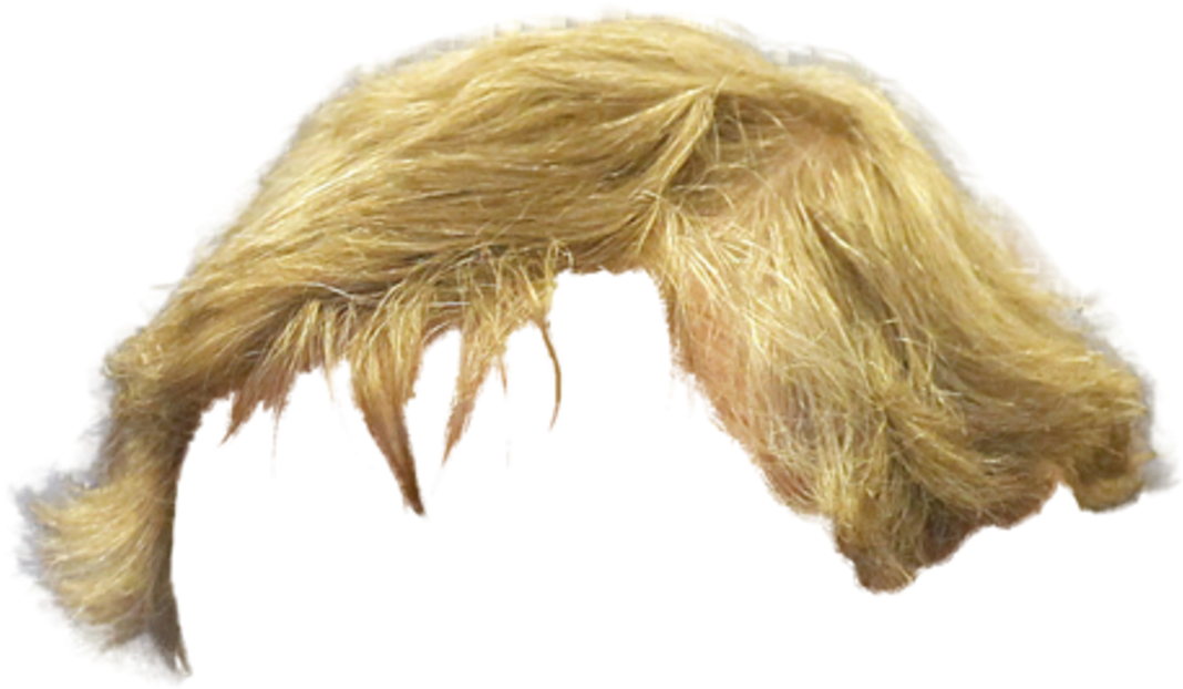 Hair Hairstyle Blonde Transparent PNG Image