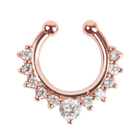 Septum Piercing Transparent PNG Image