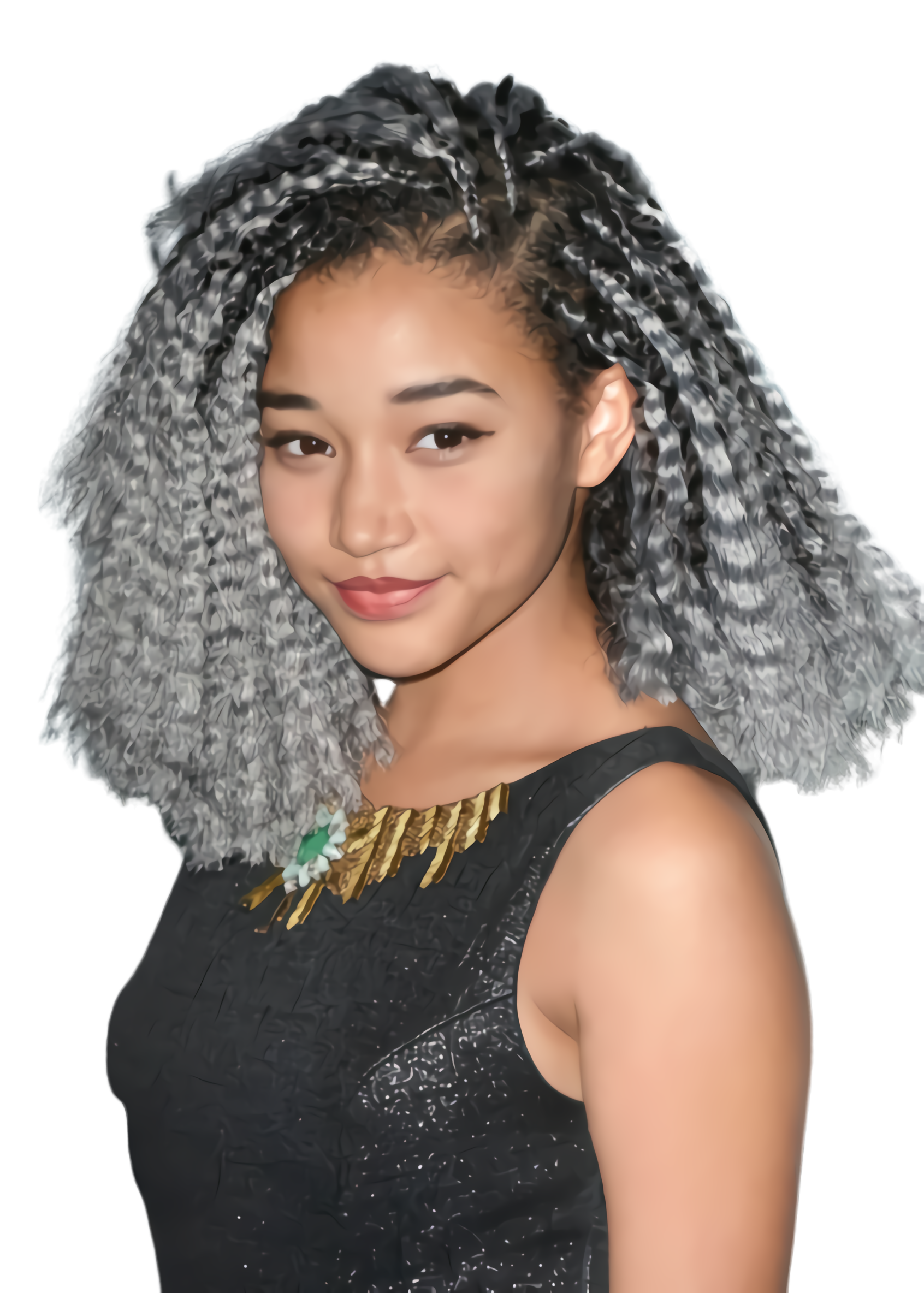 Hairstyle Braids Transparent PNG Image