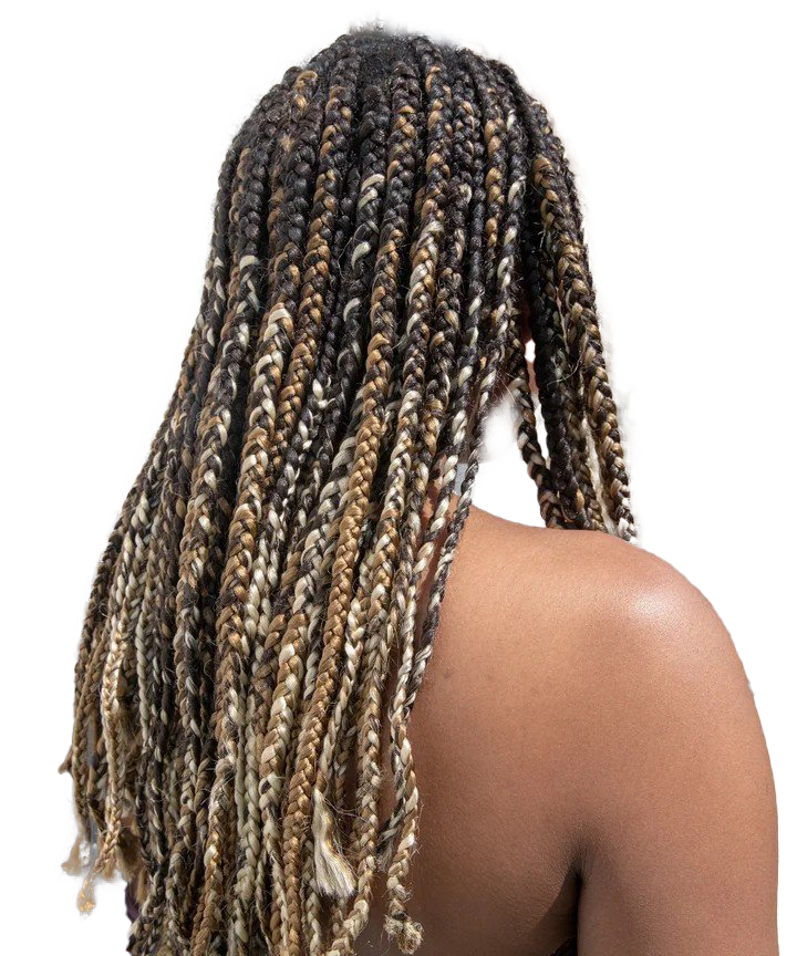 Hairstyle Braids Transparent PNG Image