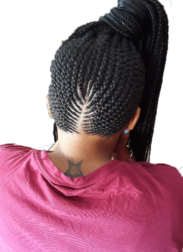 Braids Transparent PNG Image