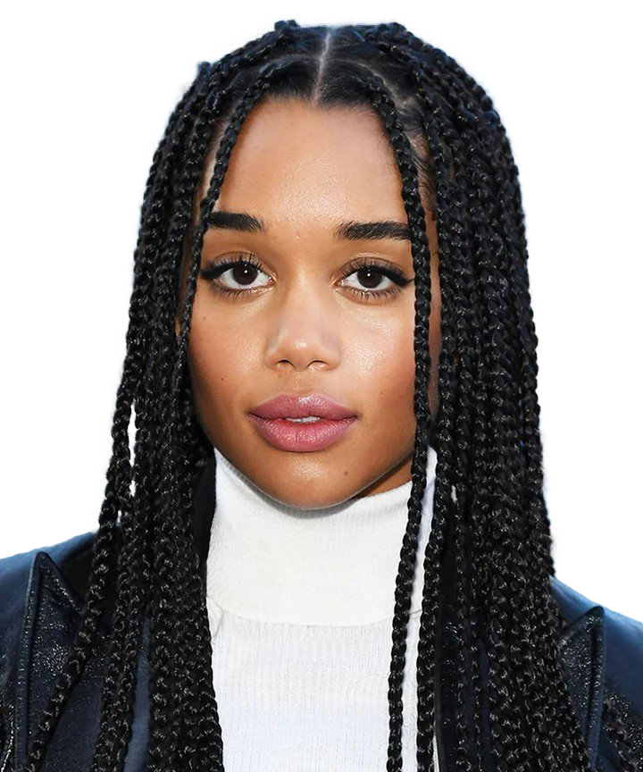 Hairstyle Braids Transparent PNG Image