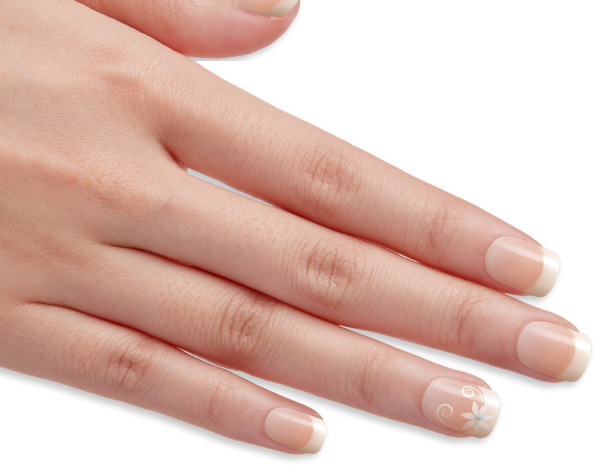 Nail Transparent PNG Image