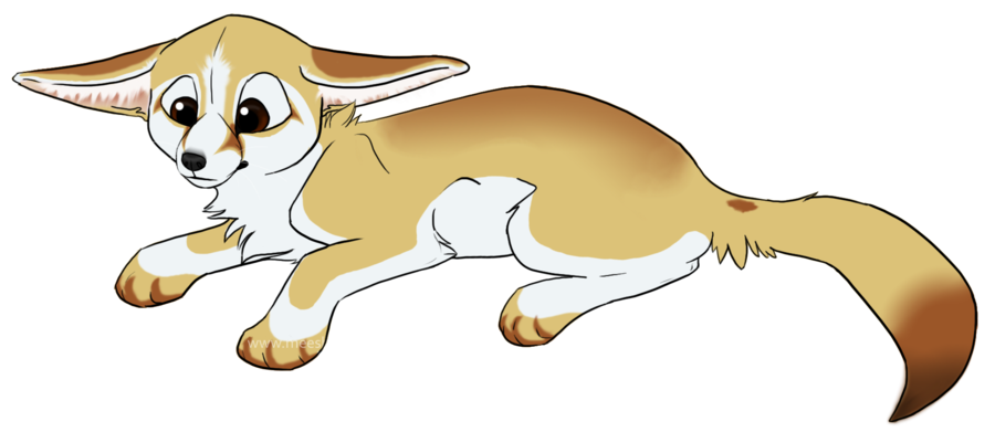 Fennec Fox Transparent PNG Image