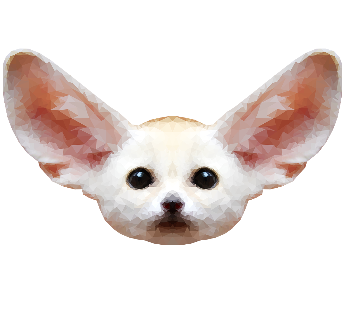 Fennec Fox Transparent PNG Image