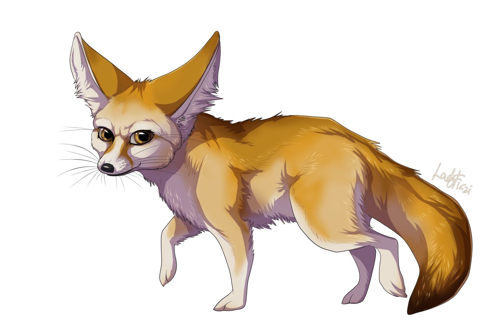Fennec Fox Transparent PNG Image