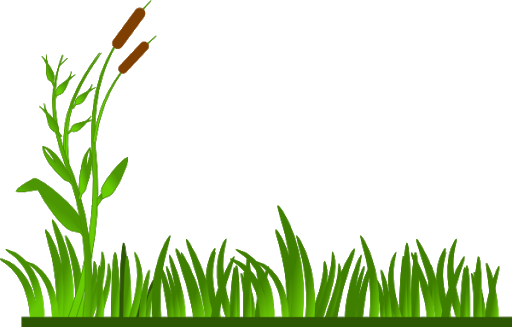 Field Grass Agriculture Transparent PNG Image