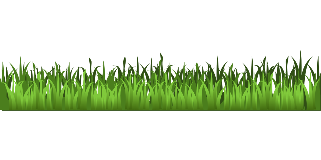 Field Grass Agriculture Transparent PNG Image