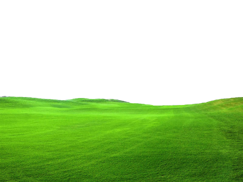 Countryside Field Green Transparent PNG Image