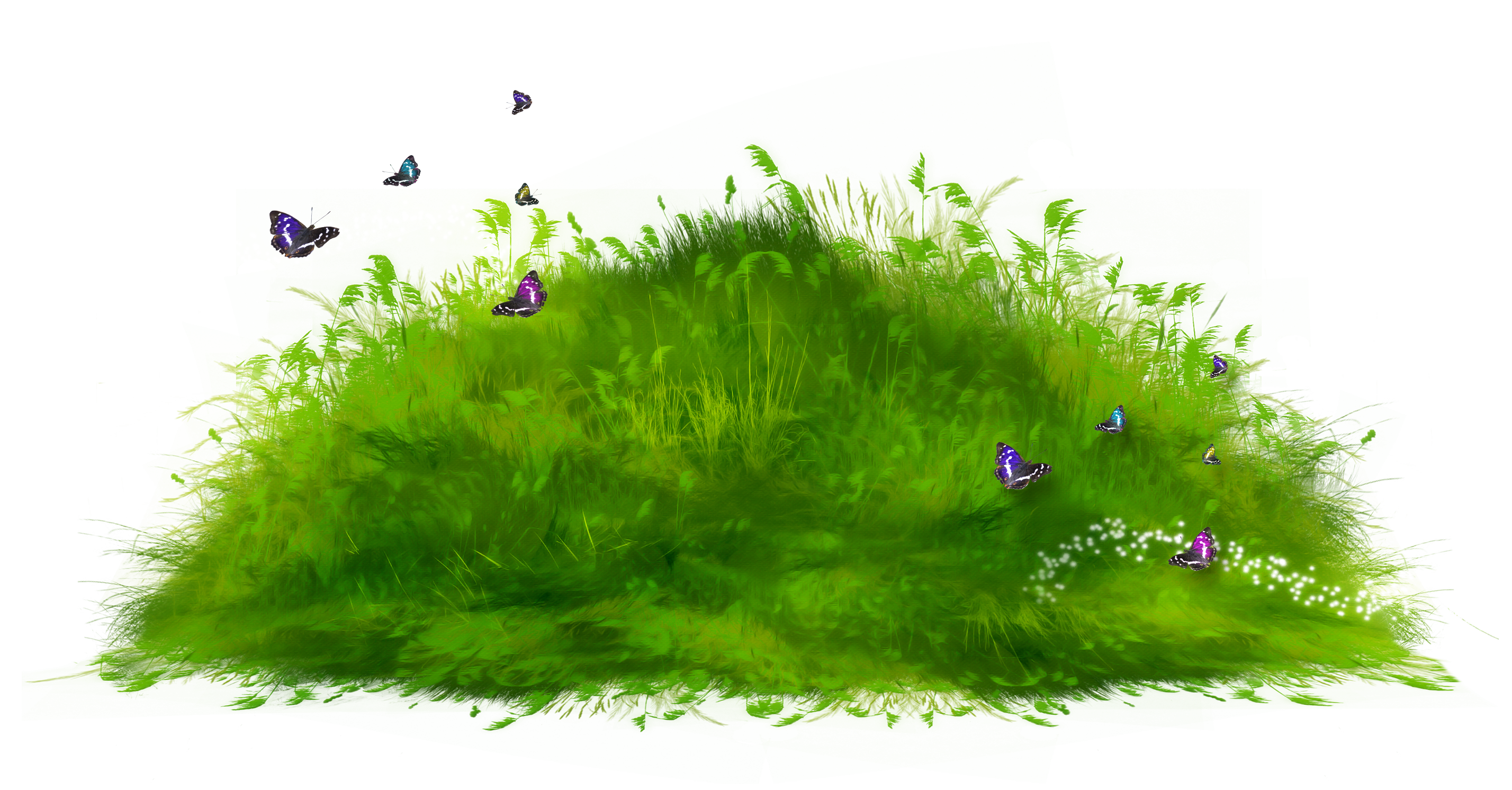 Field Green Transparent PNG Image