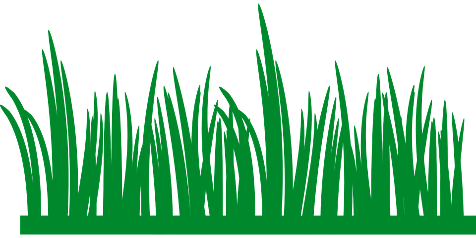 Field Green Transparent PNG Image