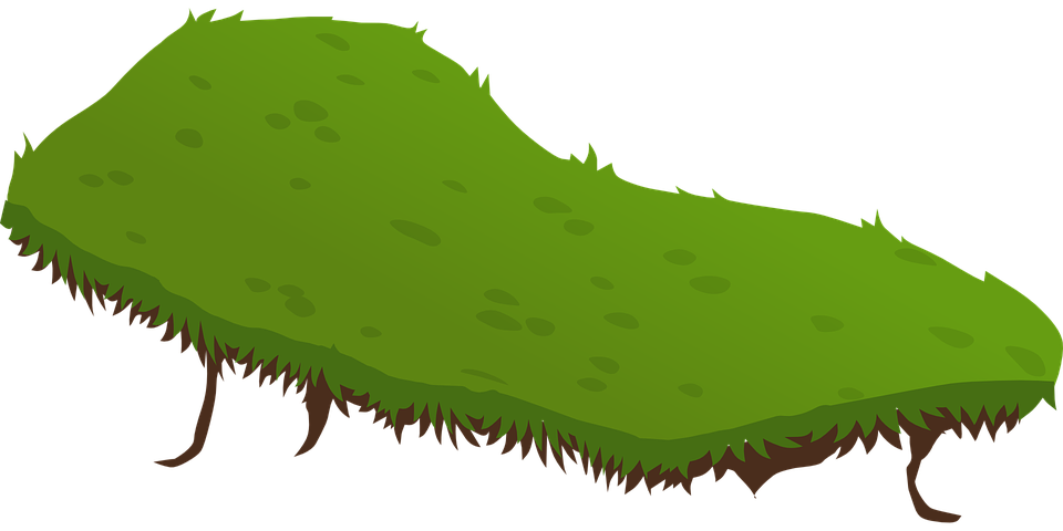 Field Green Transparent PNG Image