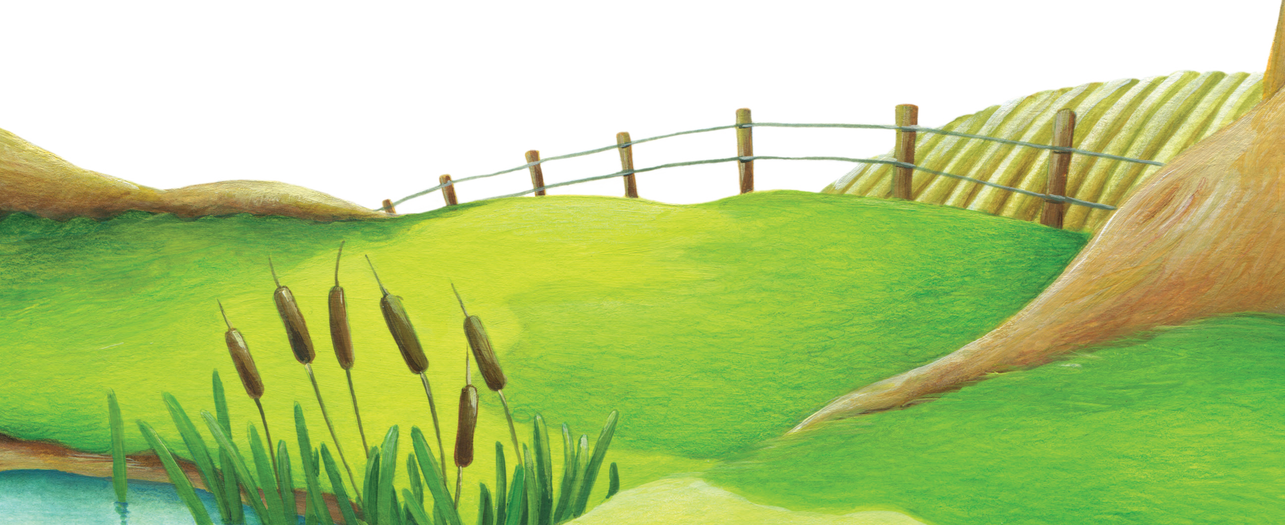 Field Grass Landscape Transparent PNG Image