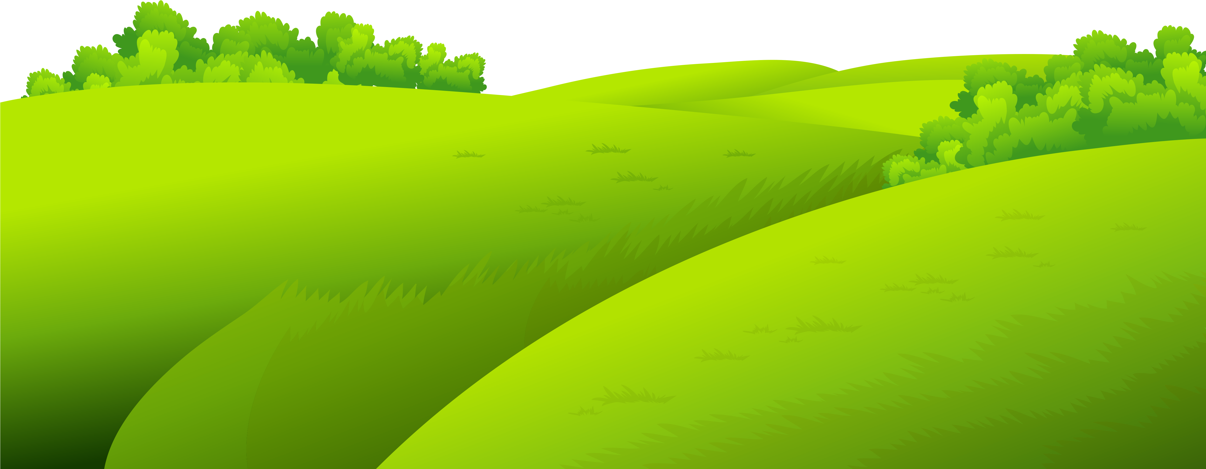 Field Grass Landscape Transparent PNG Image