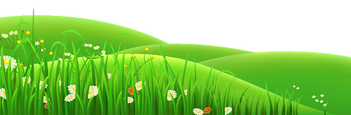 Field Grass Landscape Transparent PNG Image