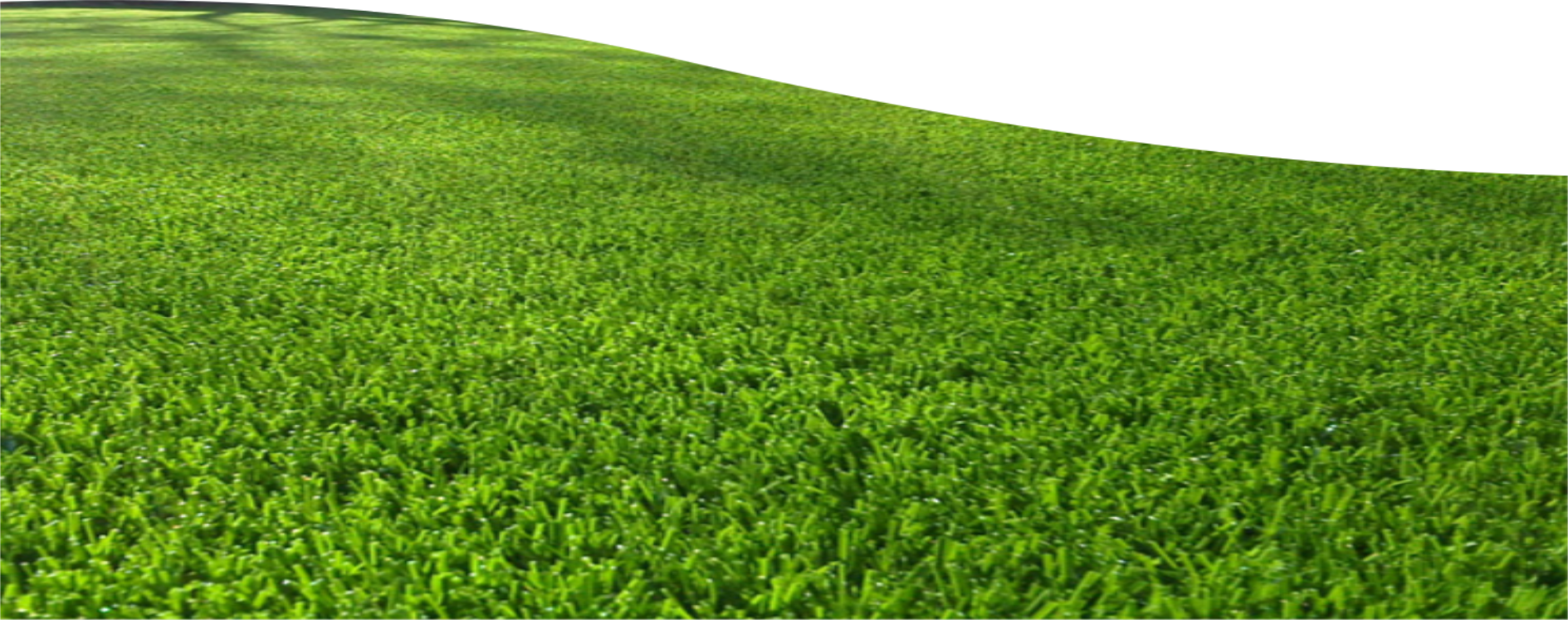 Field Grass Landscape Transparent PNG Image