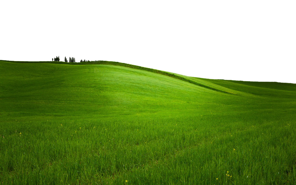 Field Green Landscape Transparent PNG Image