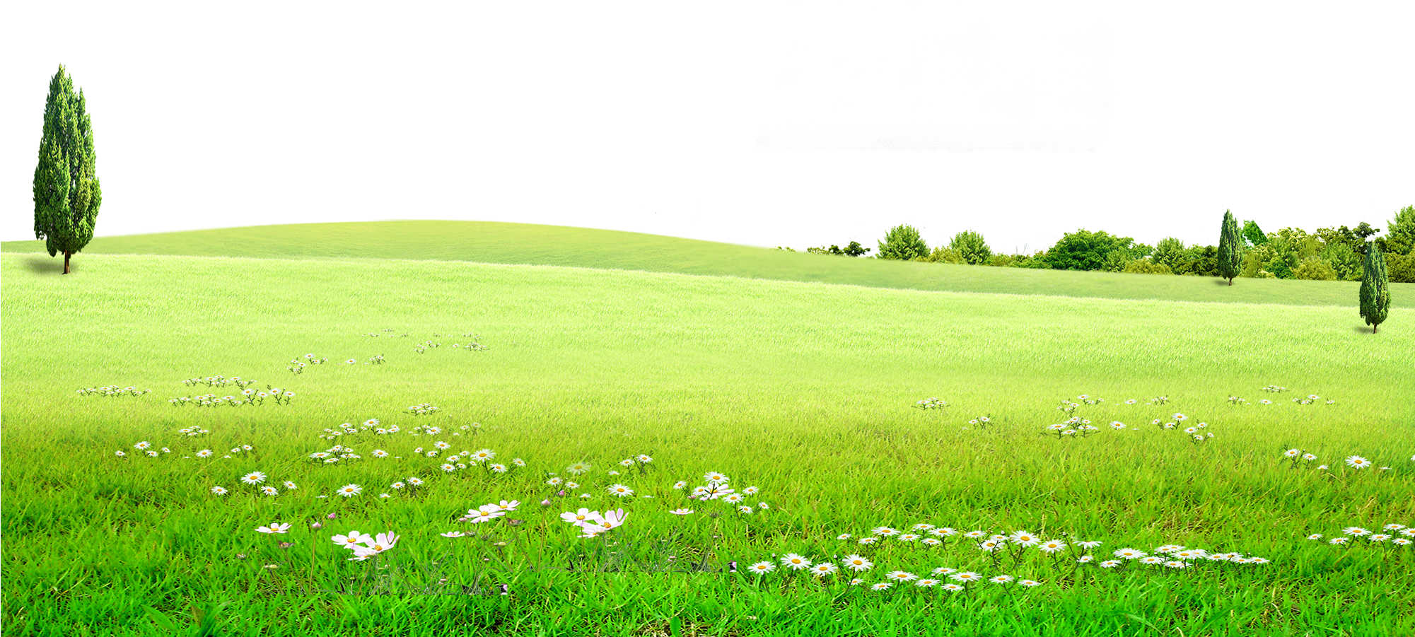 Field Green Landscape Transparent PNG Image
