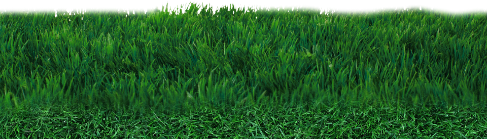 Field Grass Mat Transparent PNG Image
