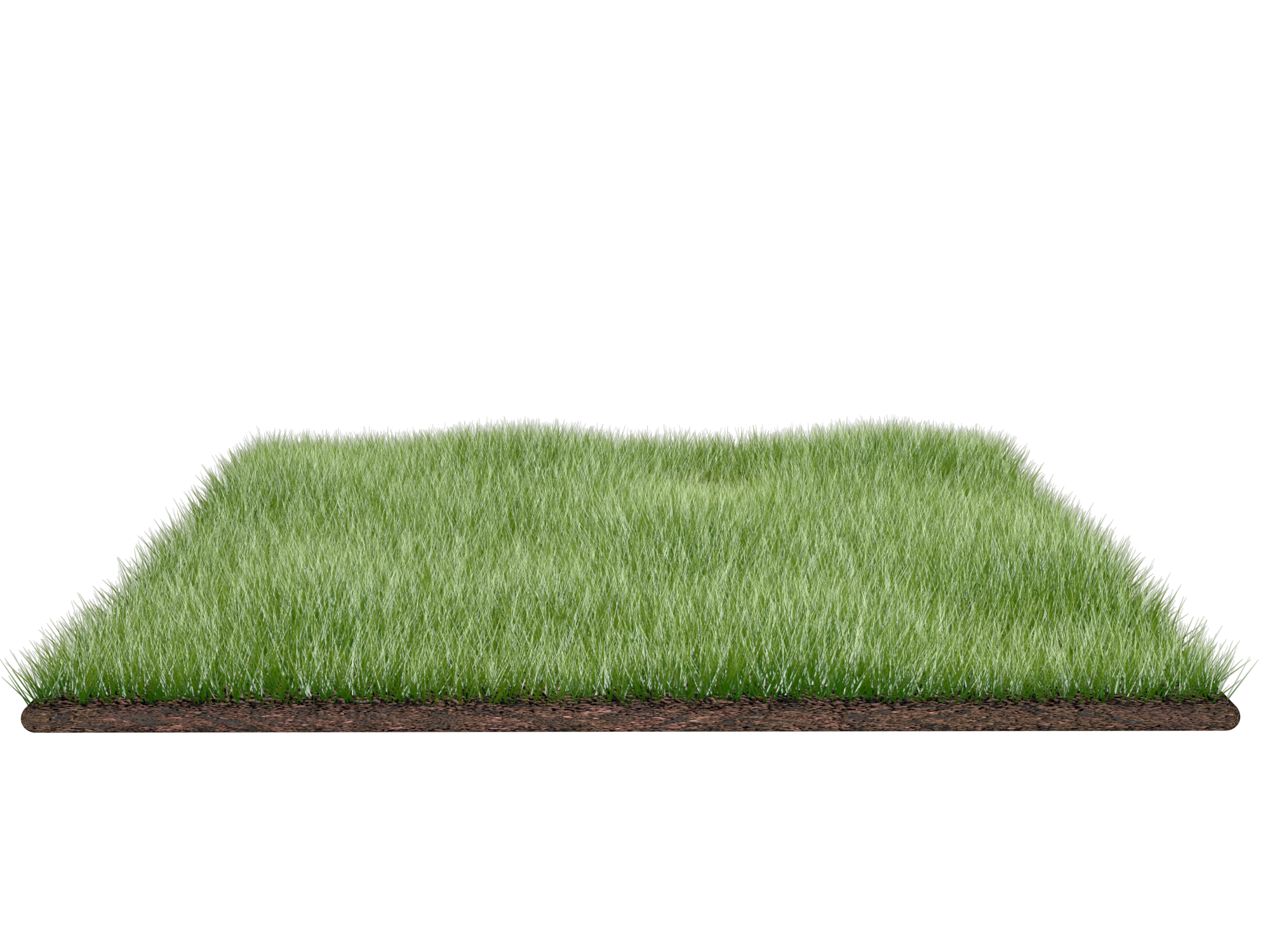 Field Grass Mat Transparent PNG Image