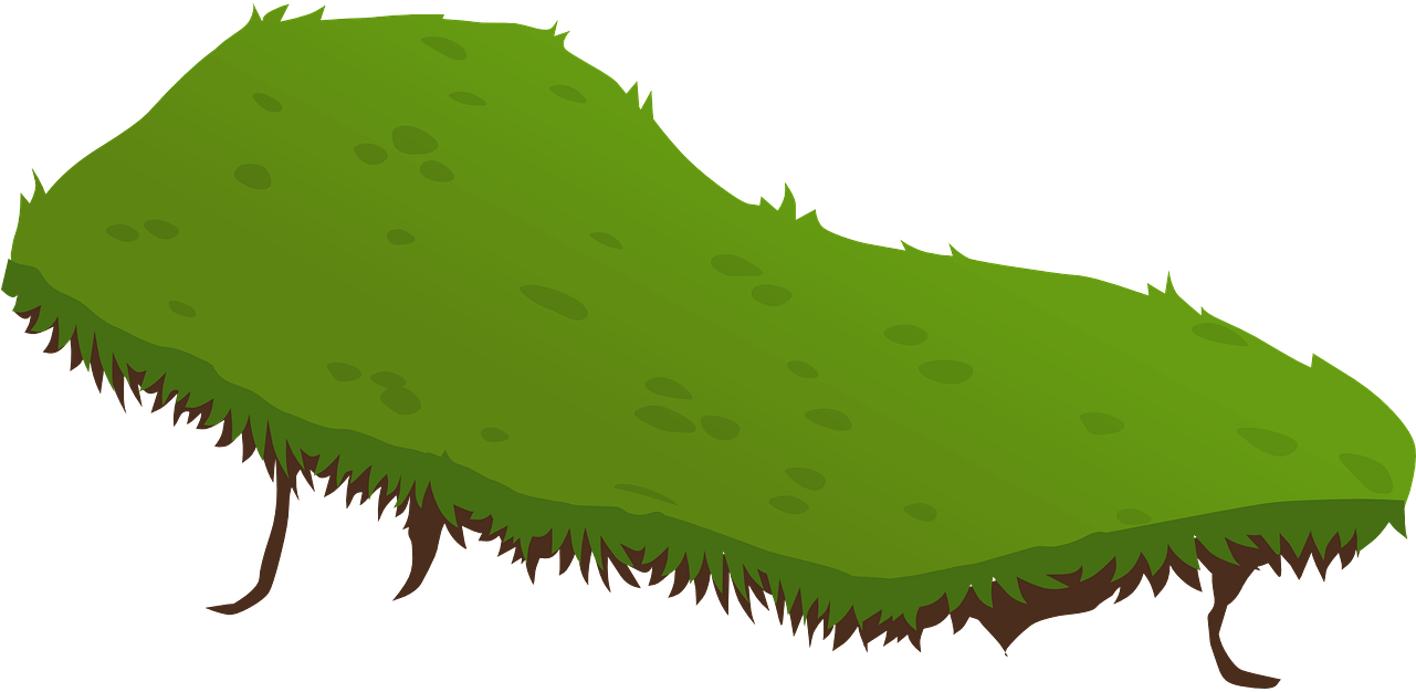 Field Grass Mat Transparent PNG Image
