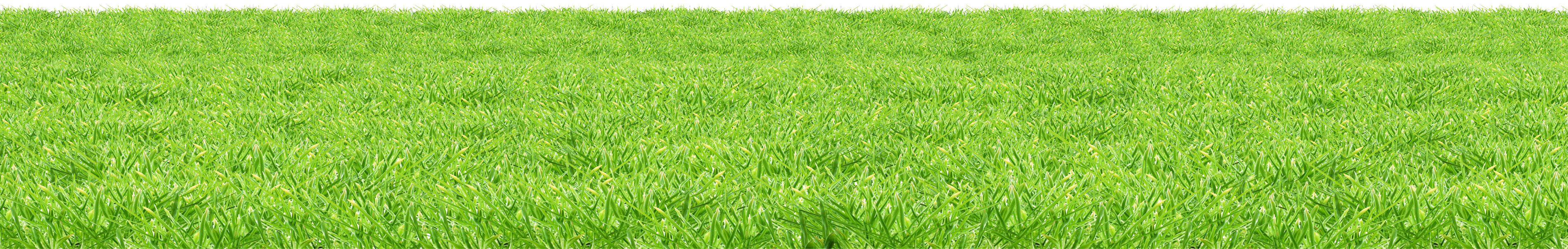 Summer Green Field Transparent PNG Image
