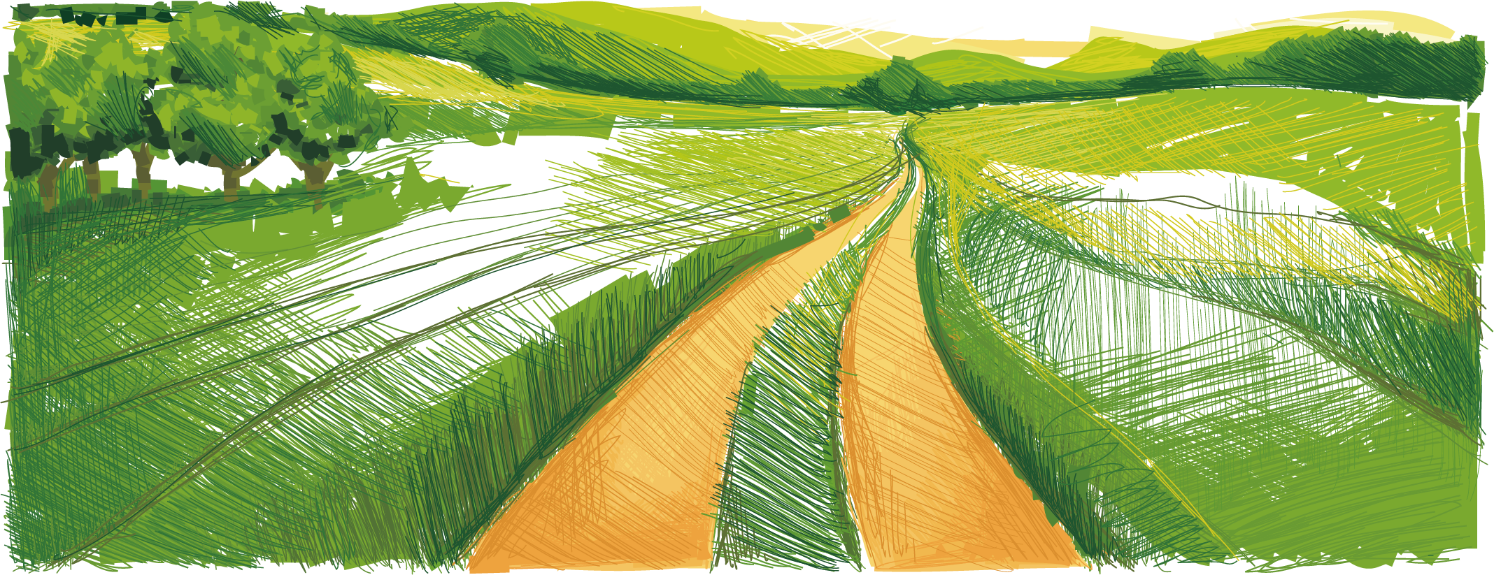 Summer Green Field Transparent PNG Image