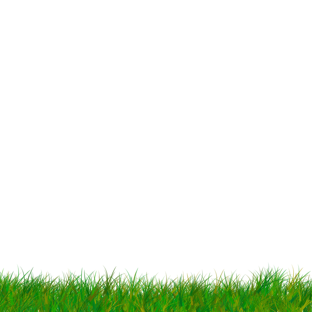 Field Grass Sunny Transparent PNG Image