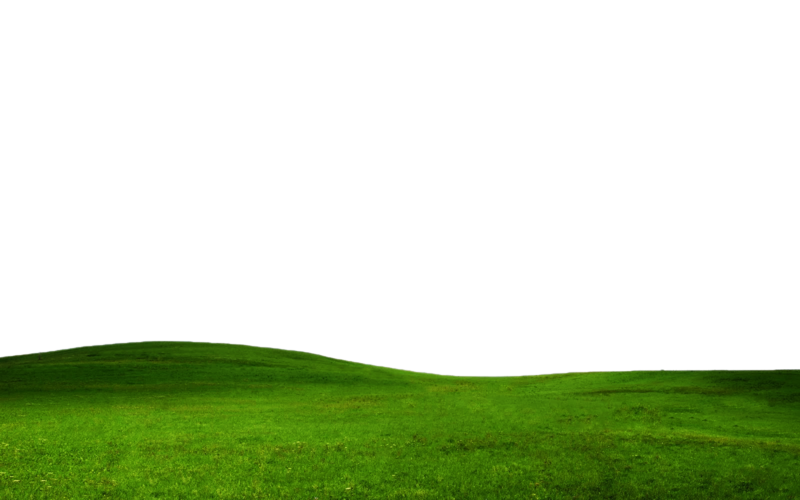 Field Transparent PNG Image