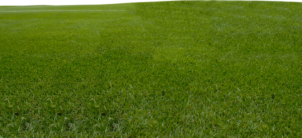 Field Transparent PNG Image