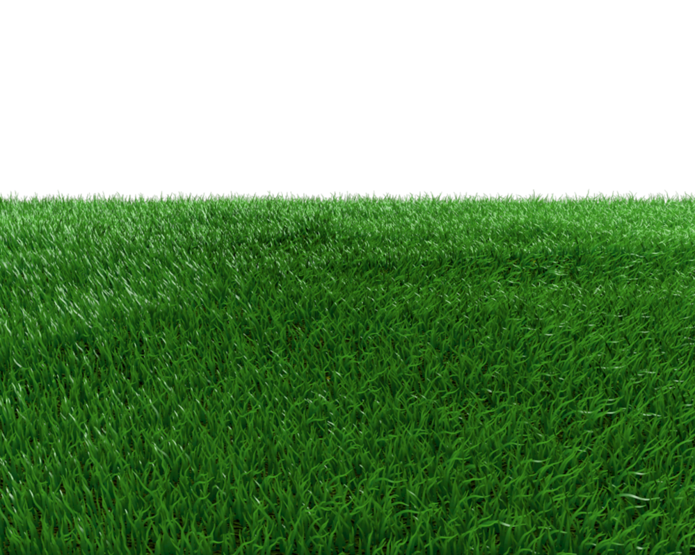 Field Background Transparent PNG Image