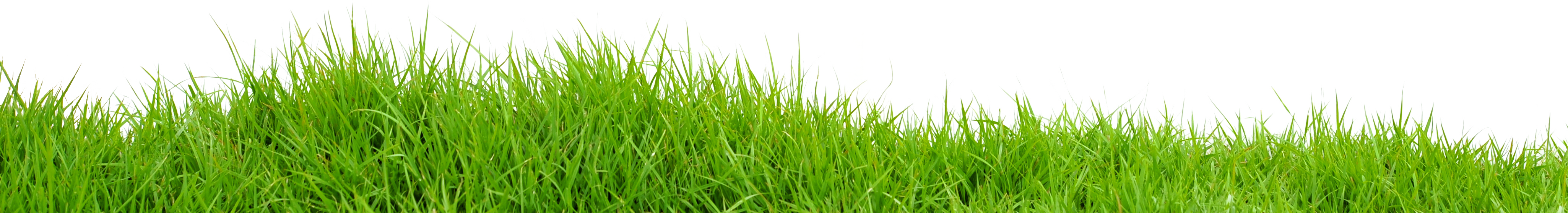 Field Transparent PNG Image
